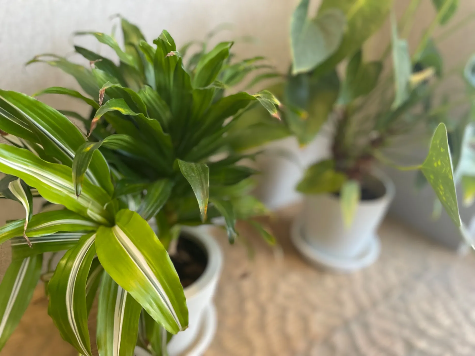 【「ビューティーテラス」にて紹介されました】